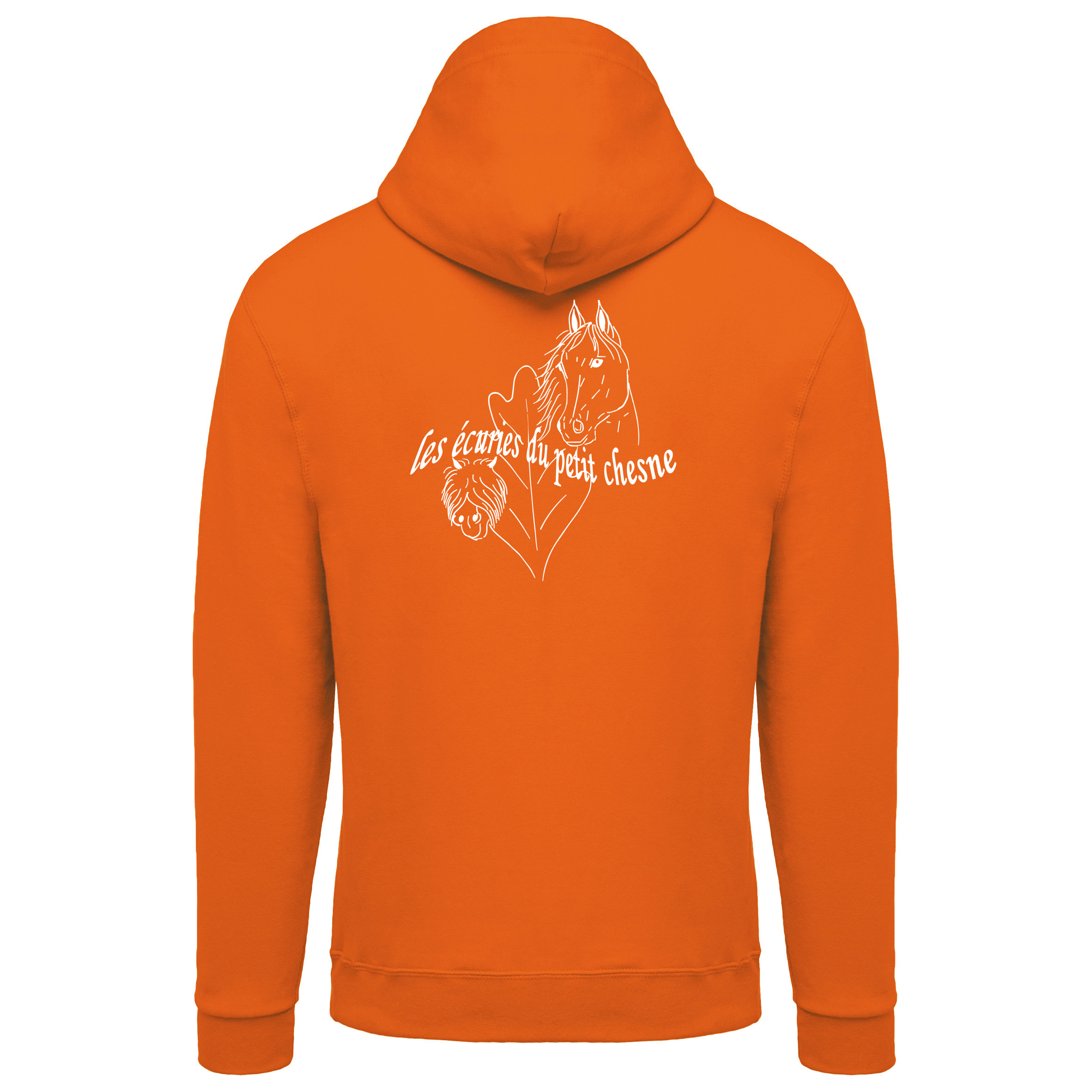 Image Sweat à capuche 2212